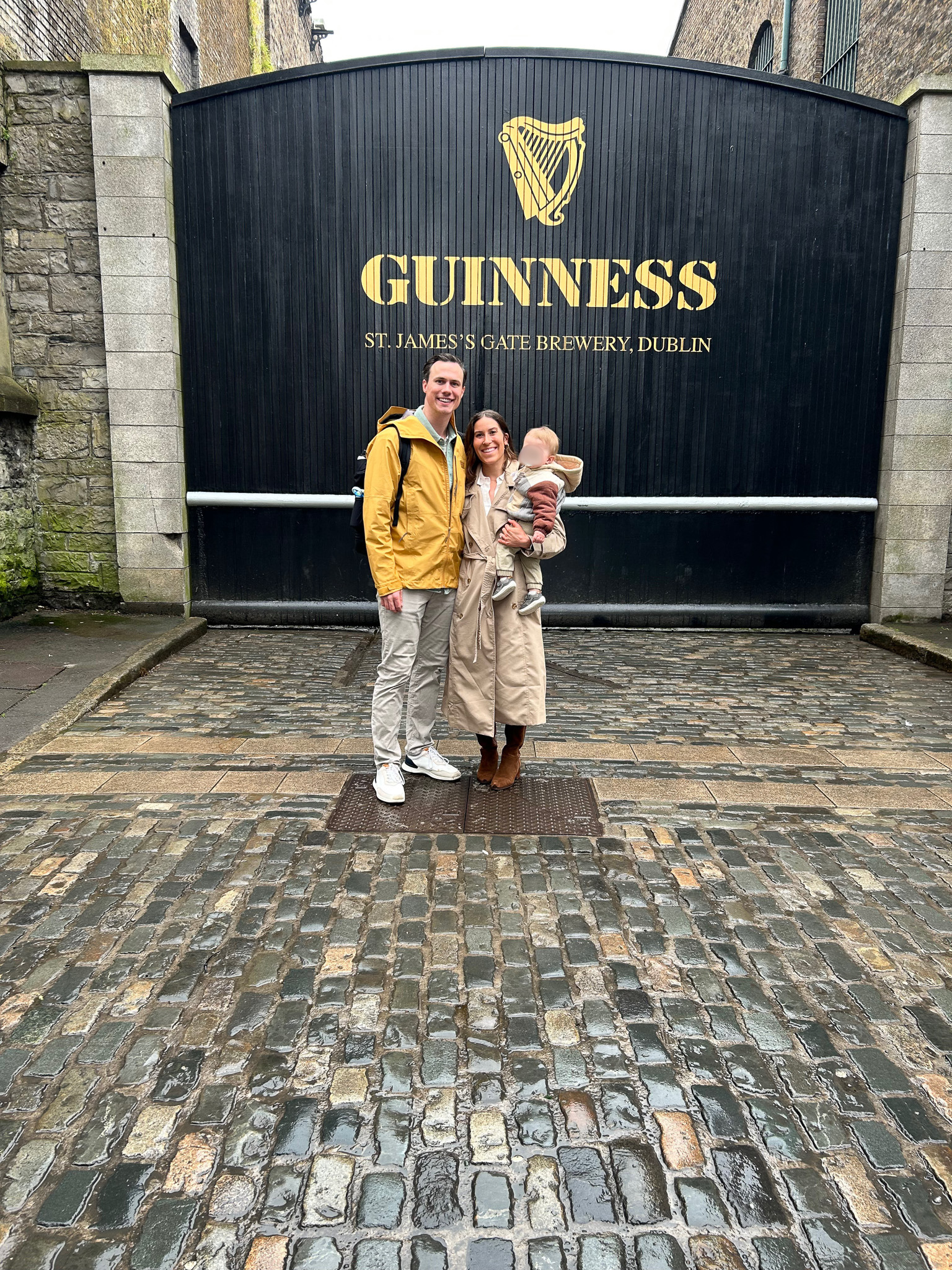 ireland family vacation 6 day guide