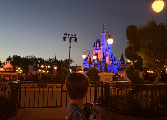 magic kingdom pre-fireworks party