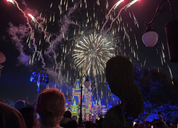 magic kingdom pre-fireworks party